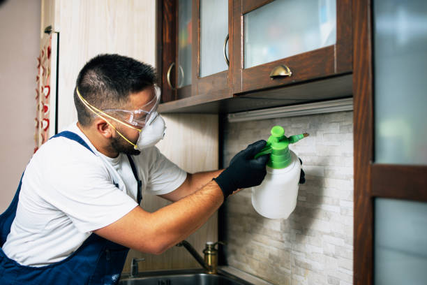 Best Pest Control Cost  in Mitchellville, IA