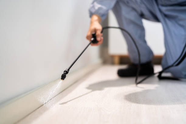 Best Emergency Pest Control  in Mitchellville, IA