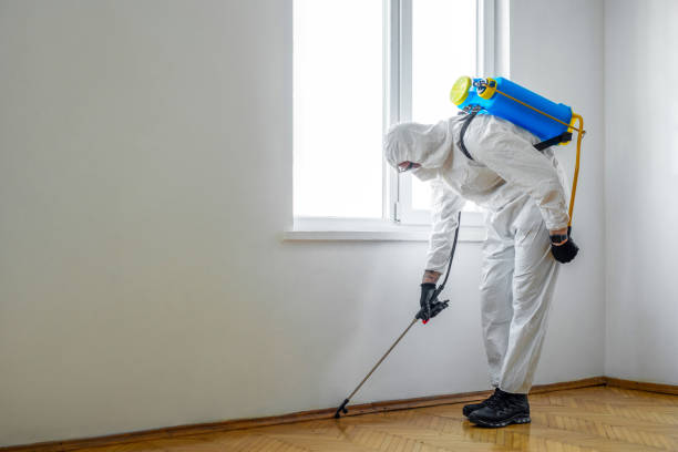 Best Mosquito Control Services  in Mitchellville, IA