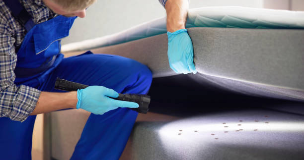 Best Termite Control Services  in Mitchellville, IA