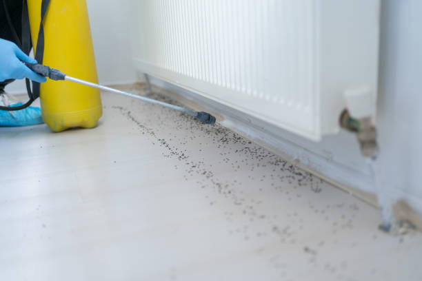 Insect Control in Mitchellville, IA