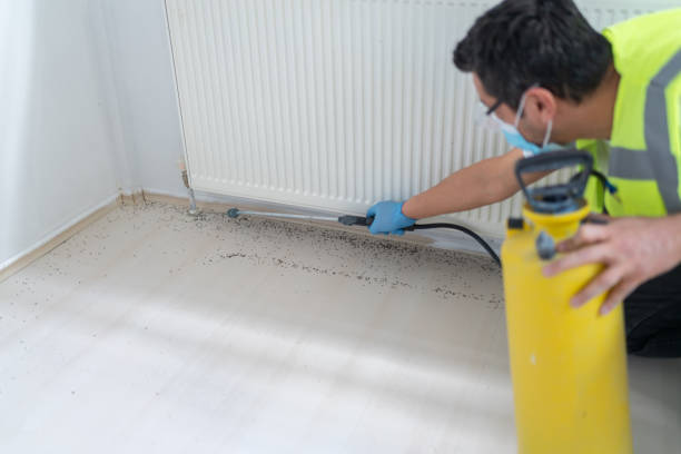 Best Affordable Pest Control Services  in Mitchellville, IA